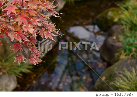 水面（みなも...） 16357937