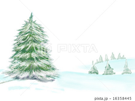 もみの木と雪景色 イラストのイラスト素材 16358445 Pixta