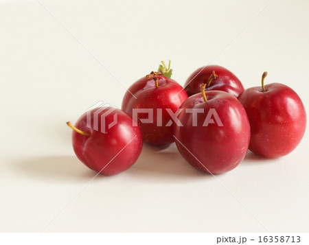 スモモ　 16358713