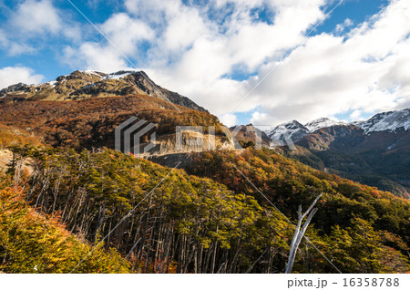 Autumn in Patagonia. Cordillera Darwin 16358788