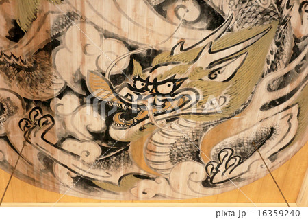 鎌倉　円覚寺　雲龍図 16359240