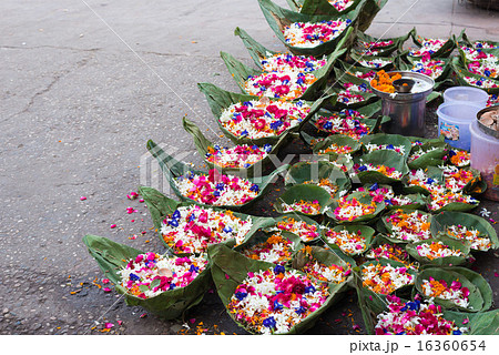インド　ハリドワールのお供えの花びら 16360654