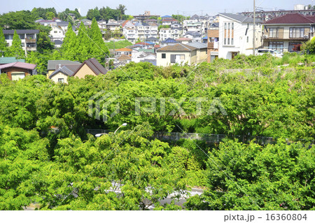 神奈川県横浜市の緑豊かな住宅街 神奈川県横浜市の緑豊かな住宅街 16360804