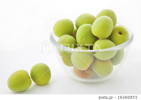 南高梅コロコロ 16360955