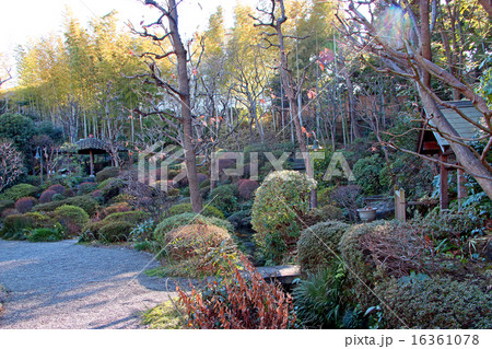 薬師の泉庭園 16361078