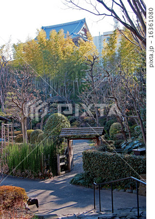 薬師の泉庭園 16361080