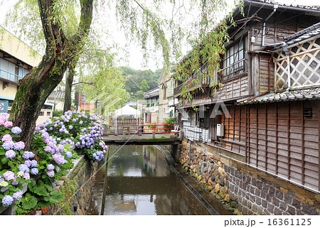 ペリーロード 16361125