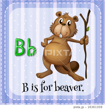 Beaver Beaver 16361309