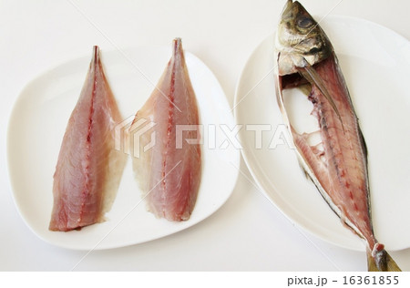 あじ三枚おろし 16361855