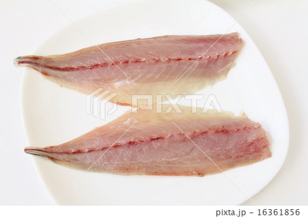 あじ三枚おろし 16361856