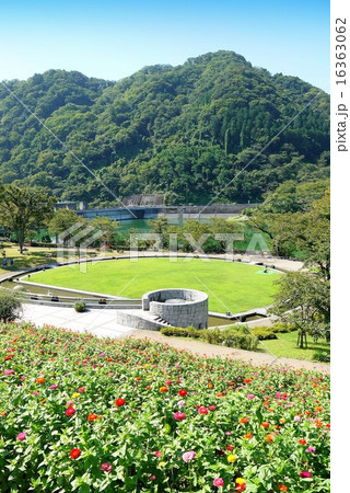 神奈川県立 津久井湖城山公園（9月）神奈川県相模原市緑区 16363062