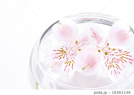 水に浮かぶ花びら 16363146