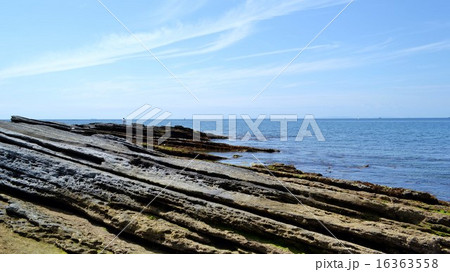房総半島　沖ノ島 16363558