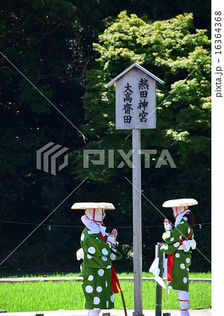 熱田神宮 大高斎田 早乙女 植女 神事の舞 熱田神宮 大高斎田 早乙女 植女 神事の舞 16364368