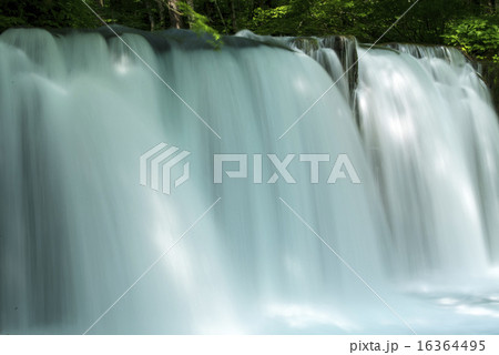 青森県　奥入瀬渓流 Oirase stream 16364495