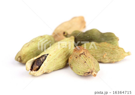 Cardamom 16364715