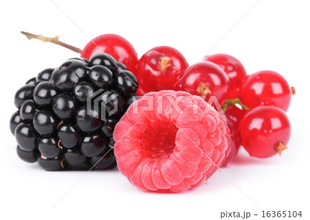 Berries isolated on white Berries isolated on white 16365104