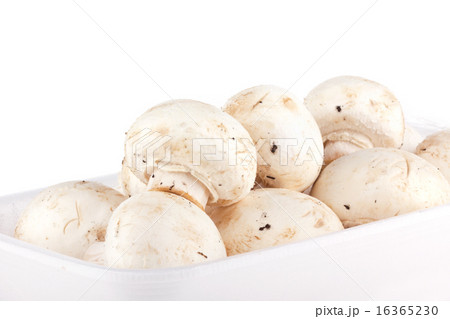 Champinons Champinons 16365230