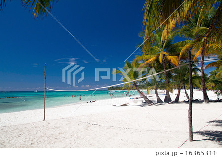 Volleyball net on tropical beach 16365311