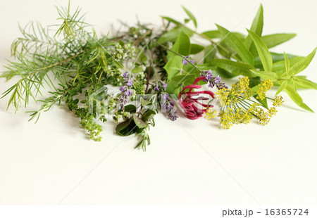 香りの花束 16365724