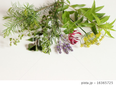 香りの花束 香りの花束 16365725