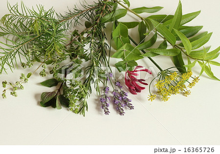 香りの花束 16365726