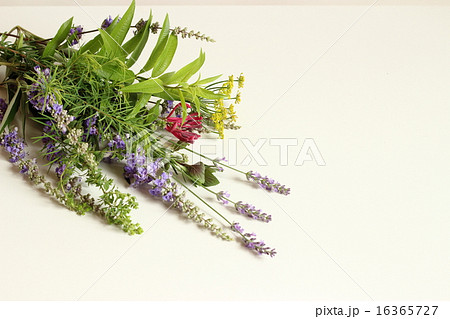 香りの花束 16365727