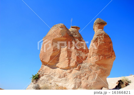 Camel rock 16366821