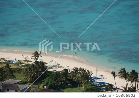 ラニカイビーチ 16366902