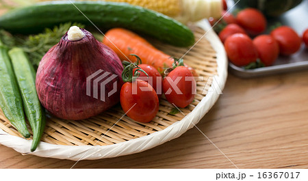 野菜 16367017