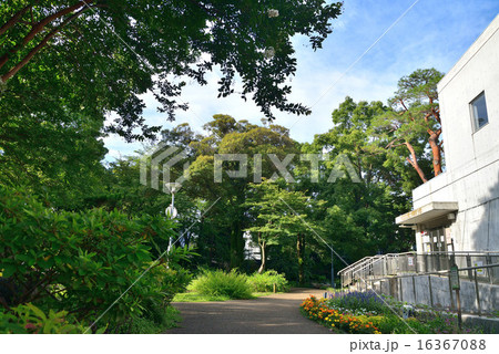 杉並区郷土博物館分館 杉並区郷土博物館分館 16367088