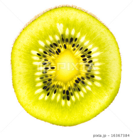 キウイ　SunGold 16367384