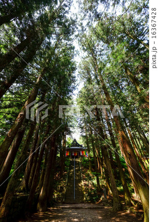 観音堂と石段と参道（真楽寺）縦 16367428