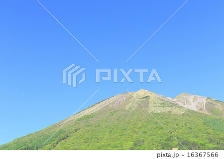 大山 16367566