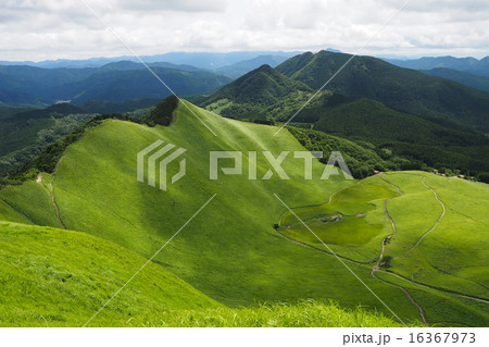 曽爾高原 16367973