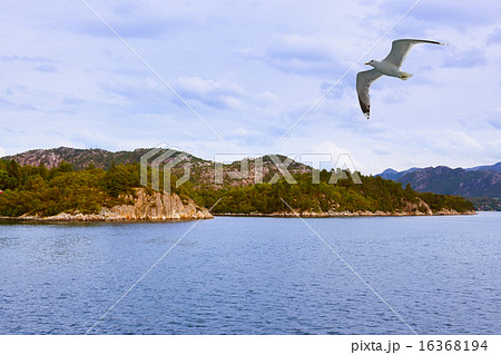 Fjord Lysefjord - Norway 16368194