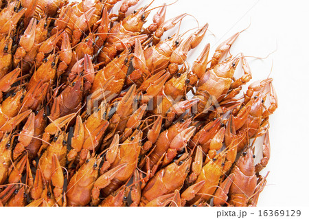 Many crawfishes Many crawfishes 16369129