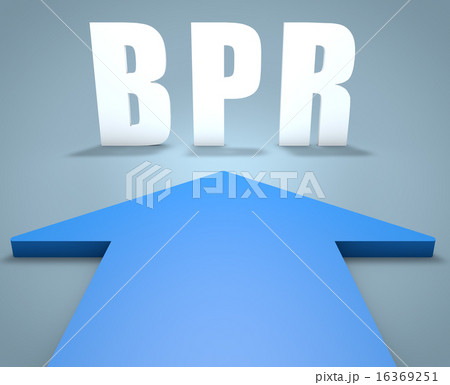 Business Process Reengineering 16369251