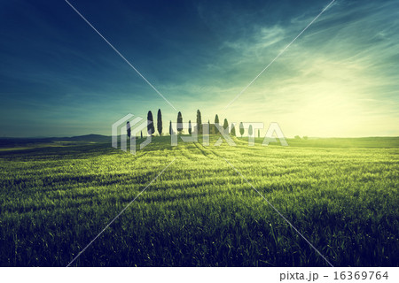 Classic Tuscan views,  Pienza, Italy 16369764