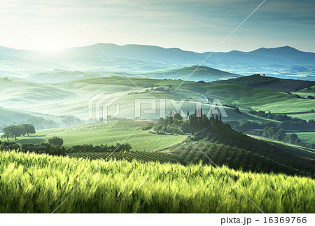 Early spring morning in Tuscany, Italy 16369766