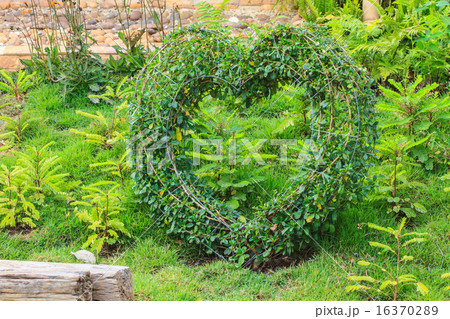 Heart decorated tree in the garden Heart decorated tree in the garden 16370289