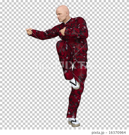 カンフーマスター カンフーマスター 16370964