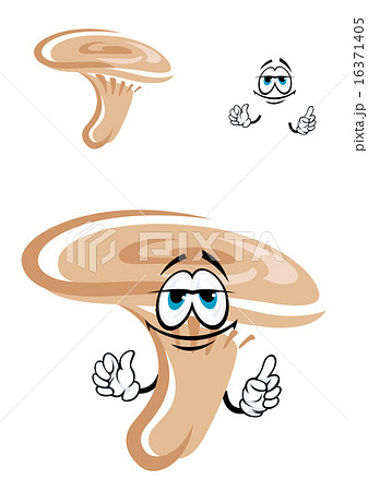 Cartoon orange saffron milk cap mushroom character Cartoon orange saffron milk cap mushroom character 16371405