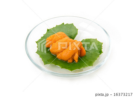 生雲丹 生雲丹 16373217