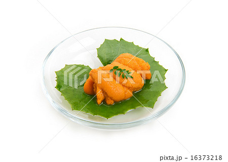 生雲丹 生雲丹 16373218