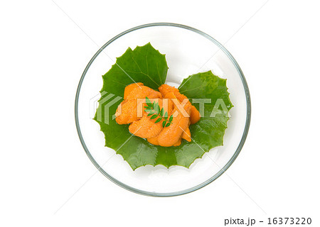 生雲丹 生雲丹 16373220