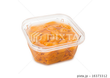 生ウニ 生ウニ 16373312