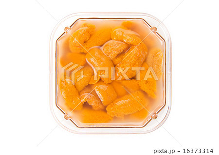 パック詰の生ウニ 16373314