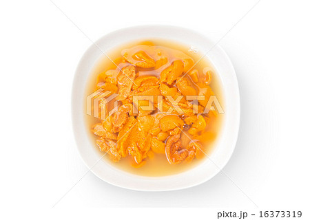 生ウニ 生ウニ 16373319