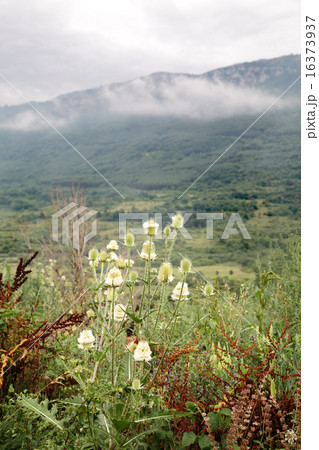 Balkan Mountains 16373937